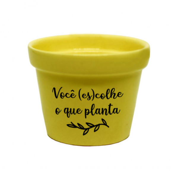 Vaso pequeno (es) colhe