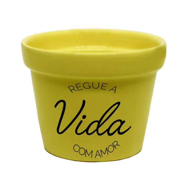 Vaso Médio Regue a vida