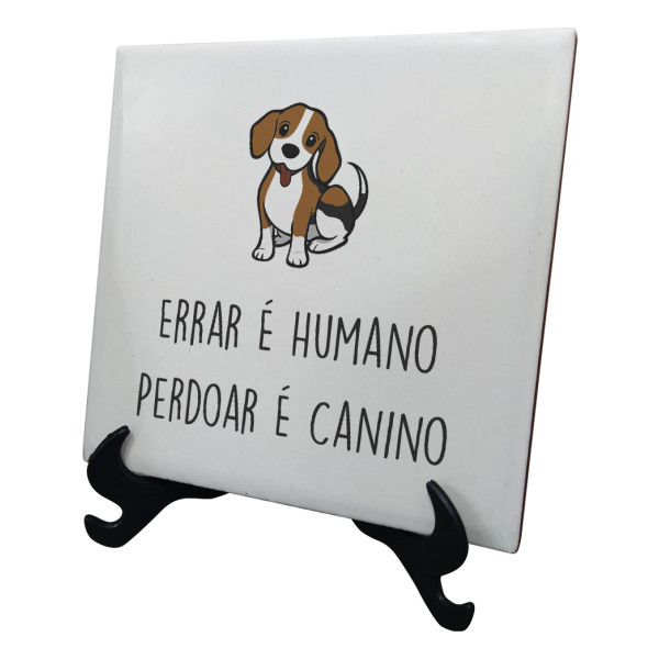 Azulejo perdoar é canino