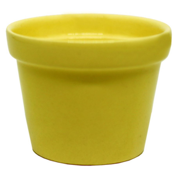 Vaso Grande Amarelo