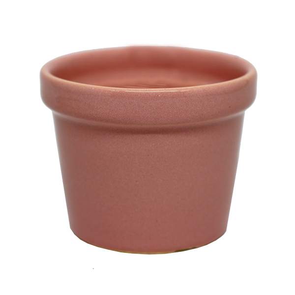 Vaso Médio Rosa