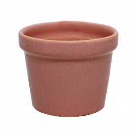 Vaso Médio Rosa