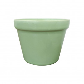 Vaso pequeno menta