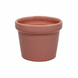 Vaso pequeno rosa